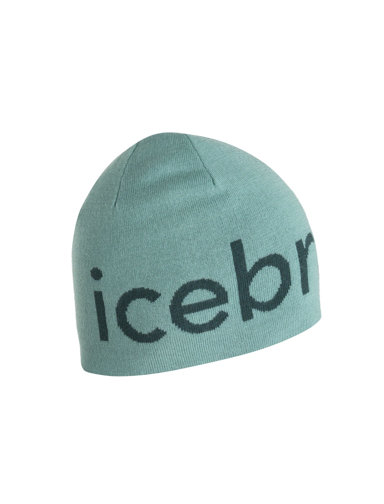 Icebreaker Everyday Beanie – Effortless Warmth and Comfort