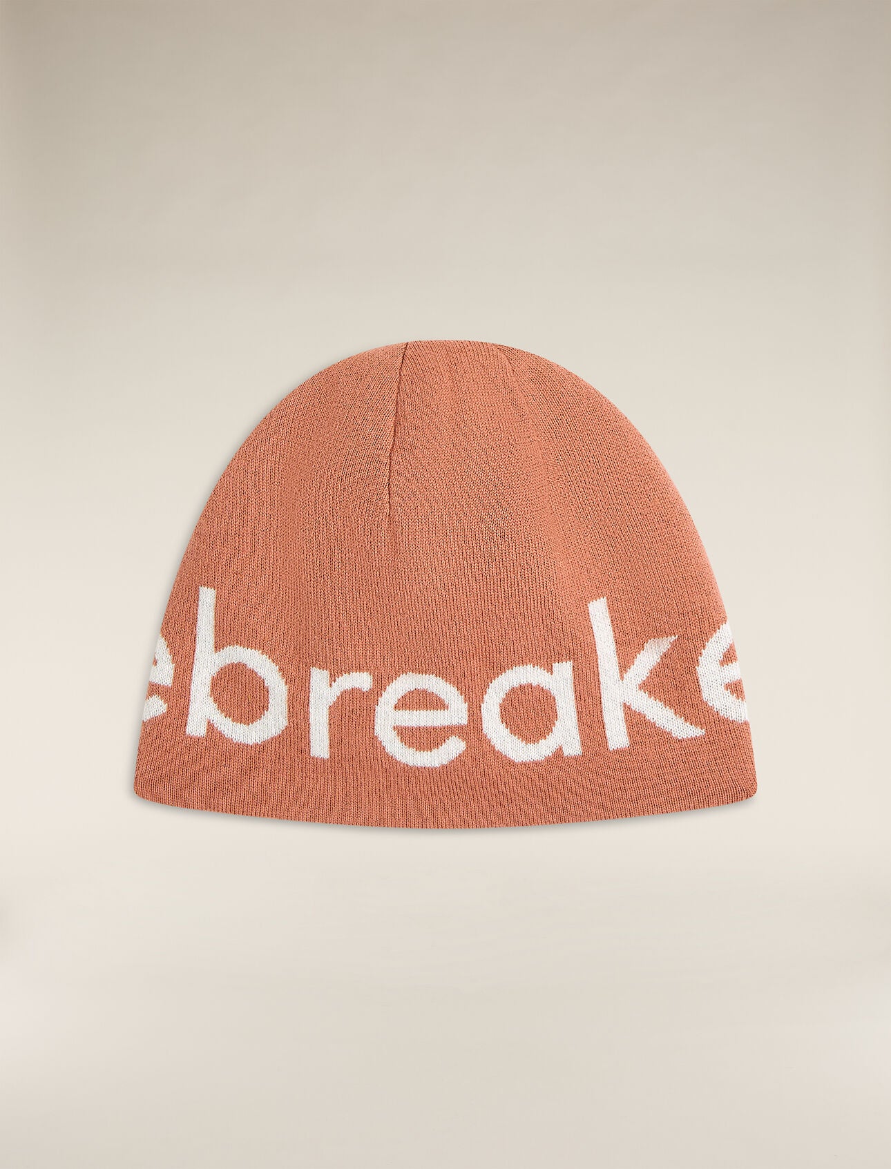 Icebreaker Everyday Beanie – Effortless Warmth and Comfort